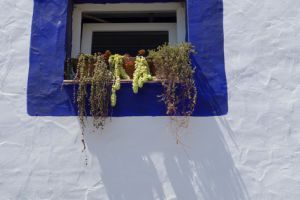 a window in tarifa.jpg