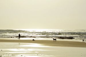 beach atmosphere in africa.jpg