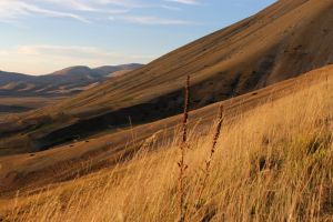 sunset in castelluccio.jpg